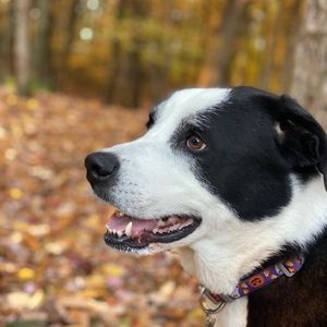 Meet your Posher, Marnie